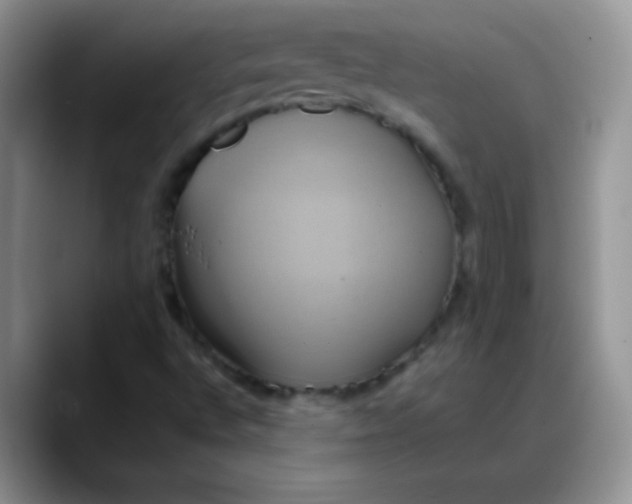 X0000088211496200705292042