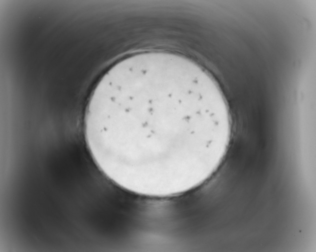 X0000088211498200705292042