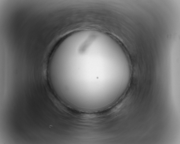 X0000088211499200705292042