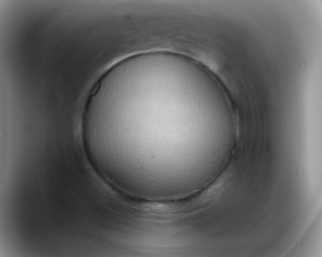 X0000088211500200705292042