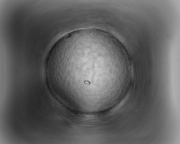 X0000088211501200705292042