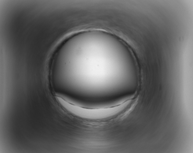 X0000088211502200705292042