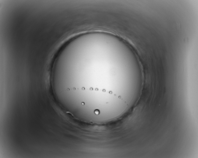 X0000088211503200705292042
