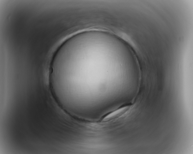 X0000088211504200705292042