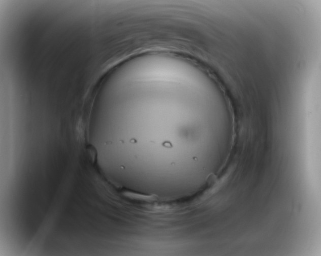 X0000088211505200705292042