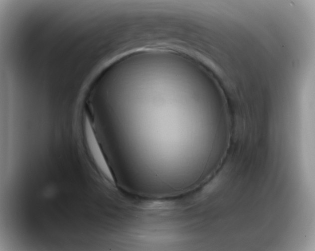 X0000088211506200705292042