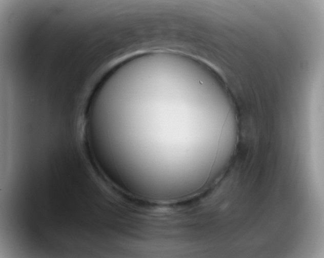 X0000088211507200705292042