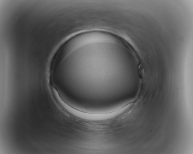 X0000088211508200705292042