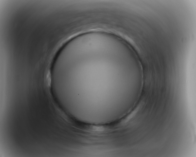 X0000088211509200705292042