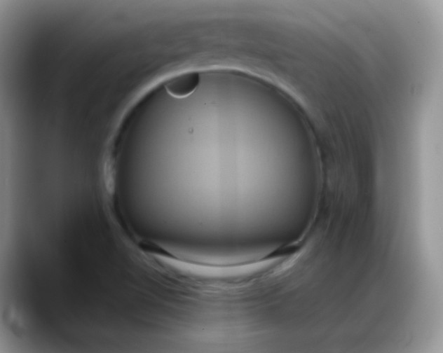 X0000088211510200705292042