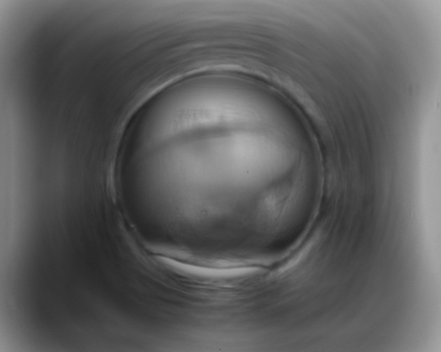 X0000088211513200705292042