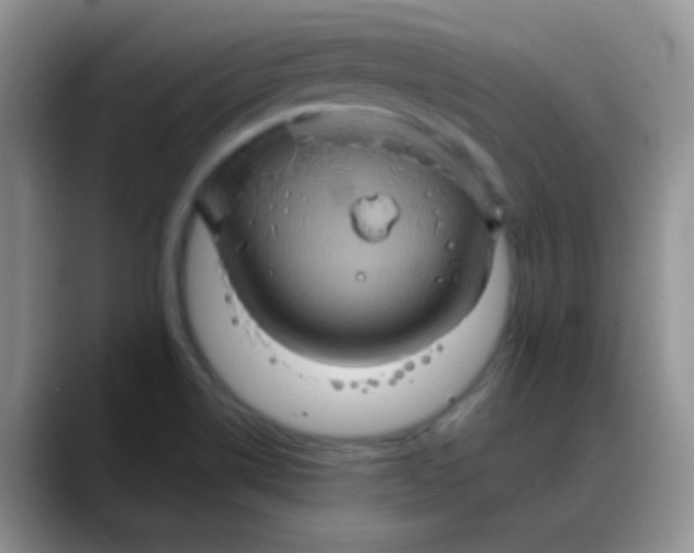X0000088211514200705292042
