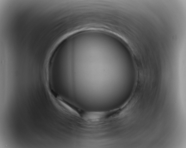 X0000088211515200705292042