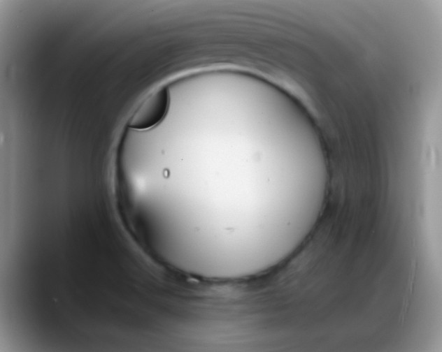 X0000088211516200705292042