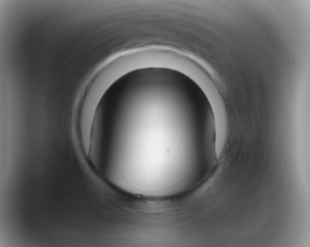 X0000088211518200705292042