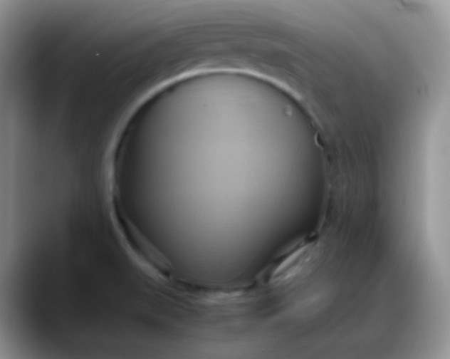 X0000088211519200705292042