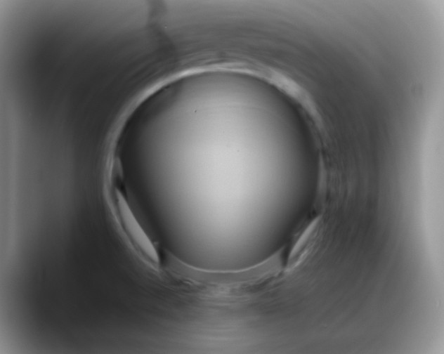 X0000088211520200705292042