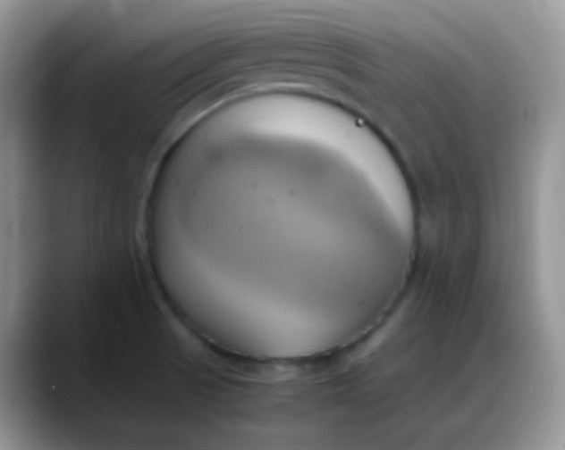 X0000088211521200705292042