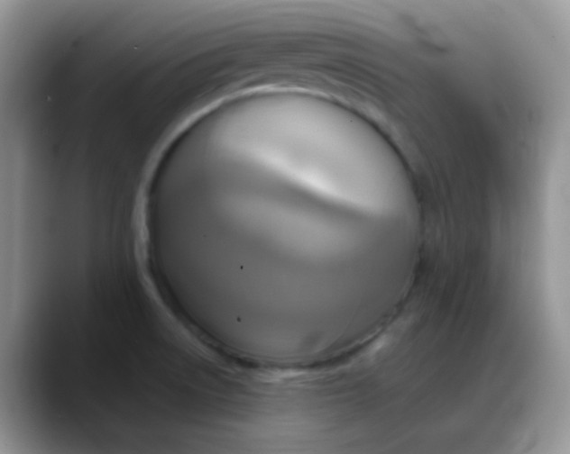 X0000088211522200705292042