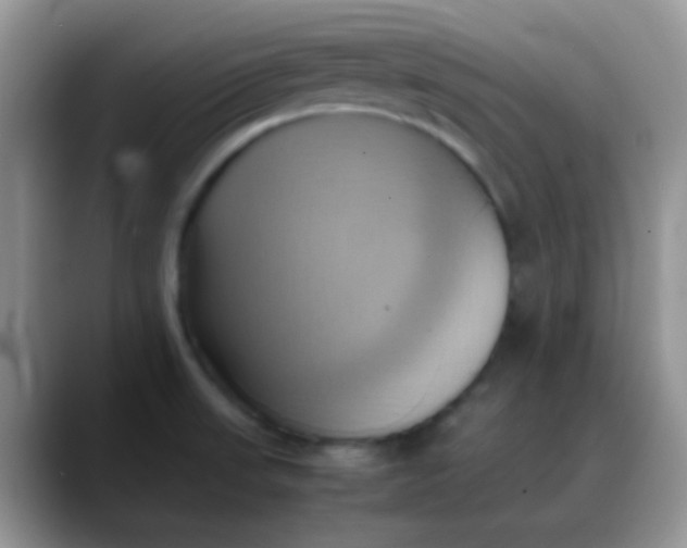 X0000088211523200705292042