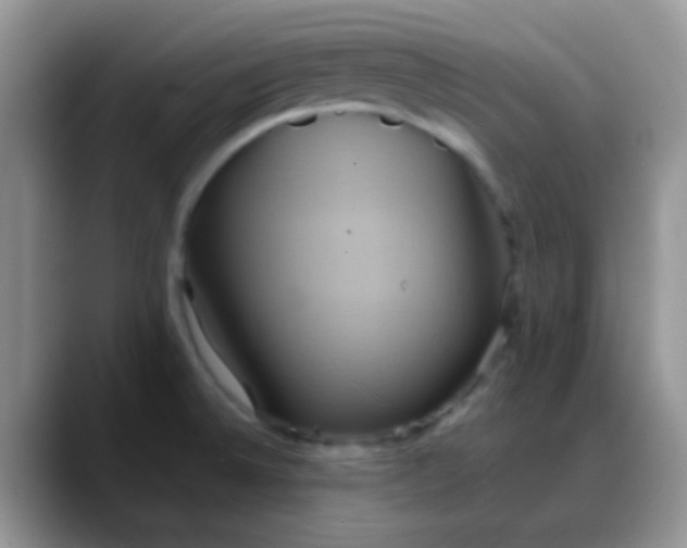 X0000088211524200705292042