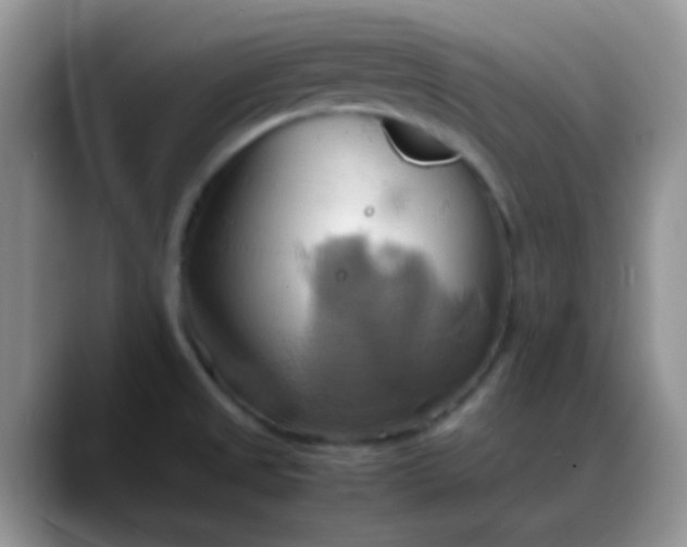 X0000088211525200705292042
