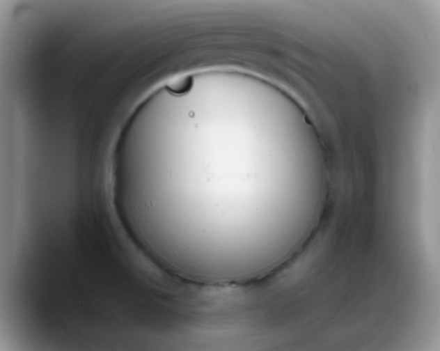 X0000088211526200705292042