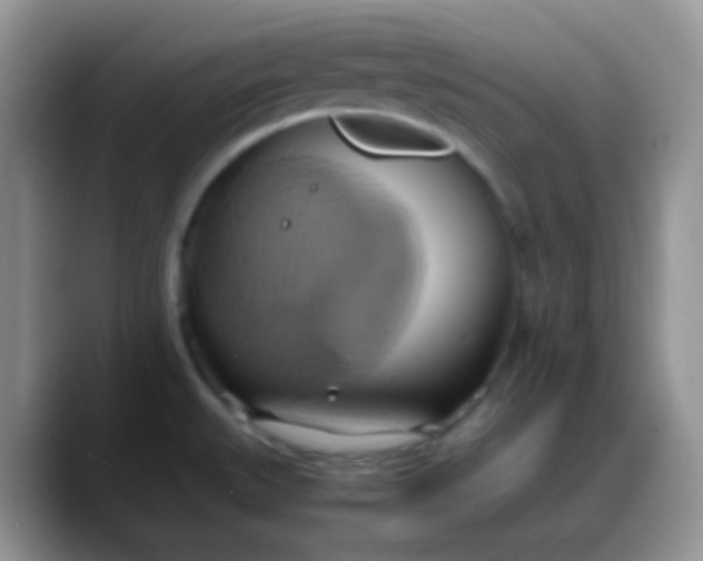 X0000088211527200705292042