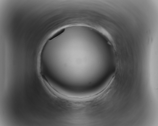 X0000088211528200705292042