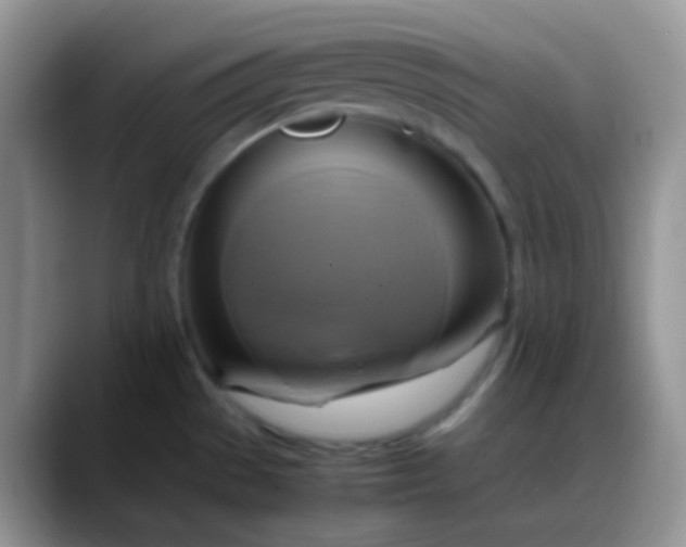 X0000088211529200705292042