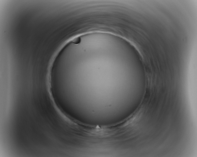 X0000088211531200705292042