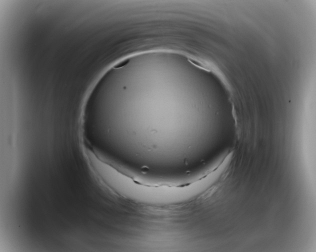 X0000088211532200705292042