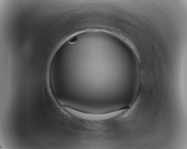 X0000088211533200705292042
