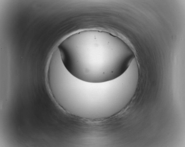 X0000088211536200705292042
