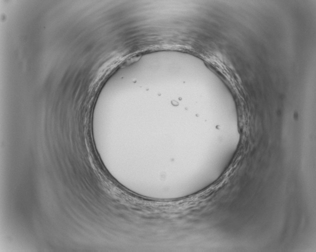 X0000088210001200706051308