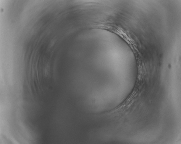 X0000088210002200706051308