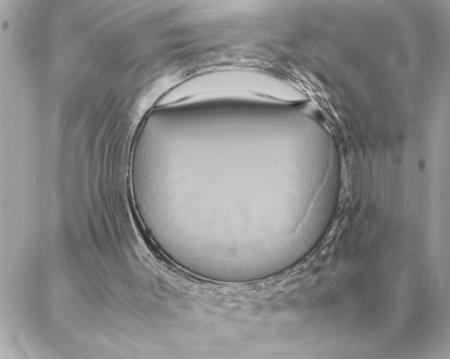 X0000088210003200706051308