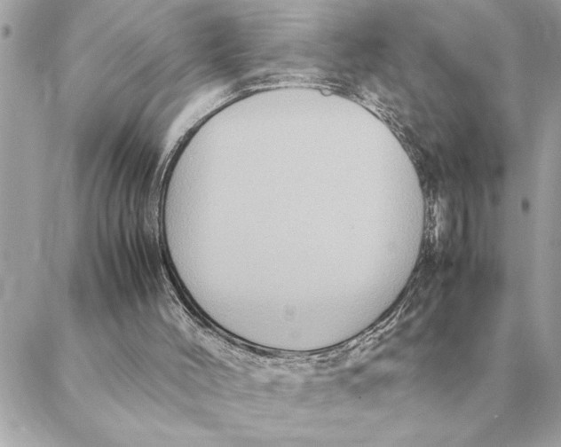 X0000088210004200706051308