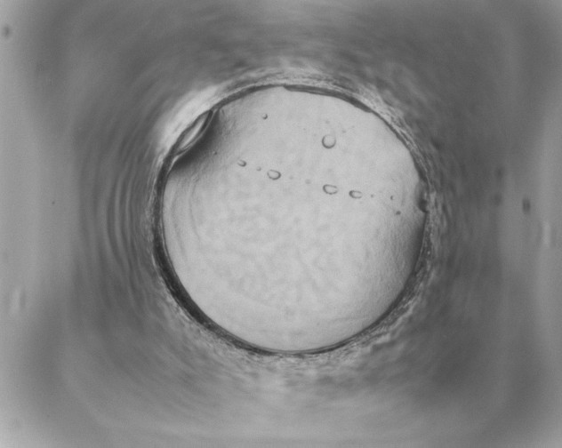 X0000088210007200706051308