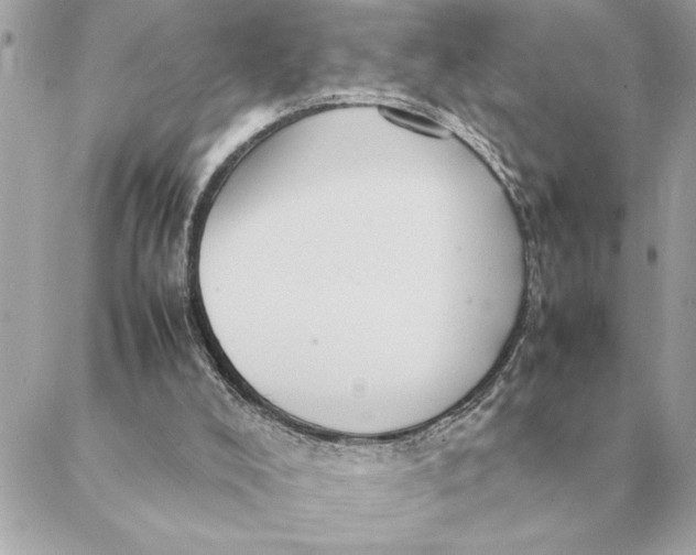 X0000088210008200706051308