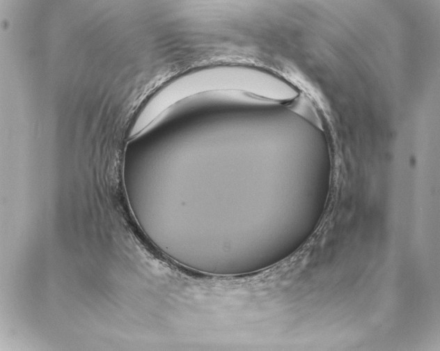 X0000088210009200706051308