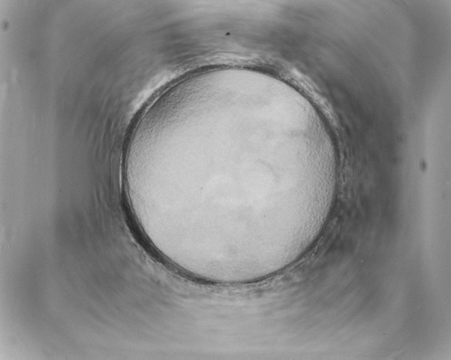 X0000088210011200706051308