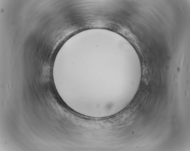 X0000088210012200706051308