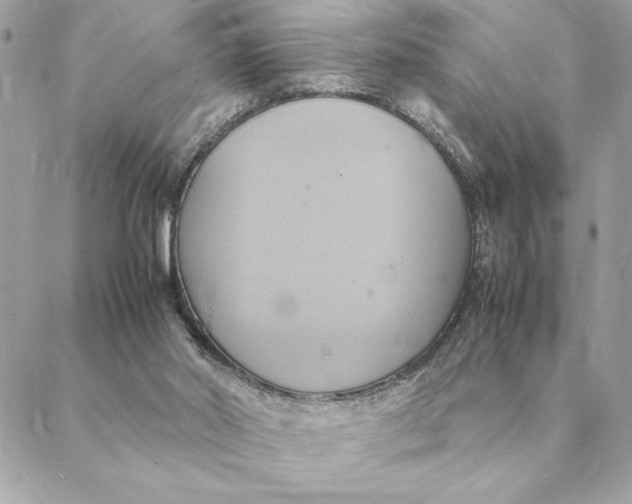 X0000088210014200706051308