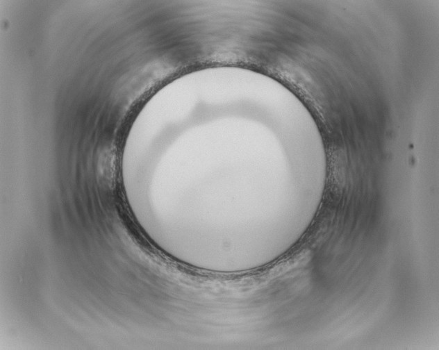 X0000088210016200706051308