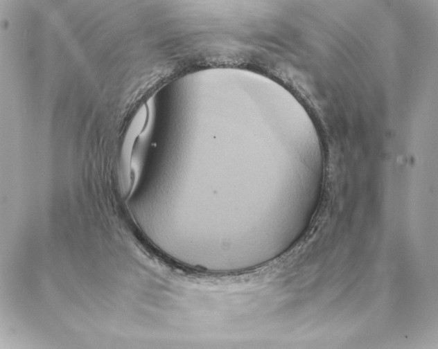 X0000088210017200706051308