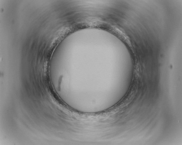 X0000088210018200706051308