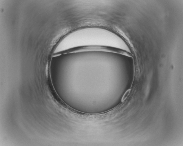 X0000088210019200706051308