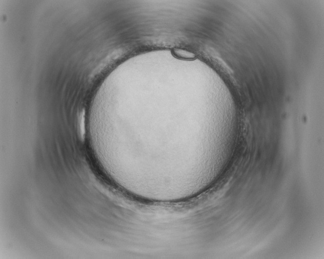 X0000088210020200706051308