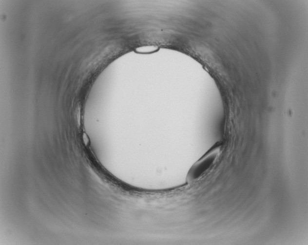 X0000088210021200706051308